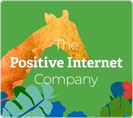 Positive Internet Logo