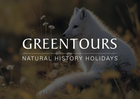 Greentours logo