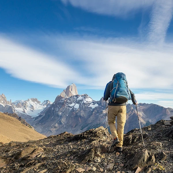 Example of an inset or Instagram square image crop