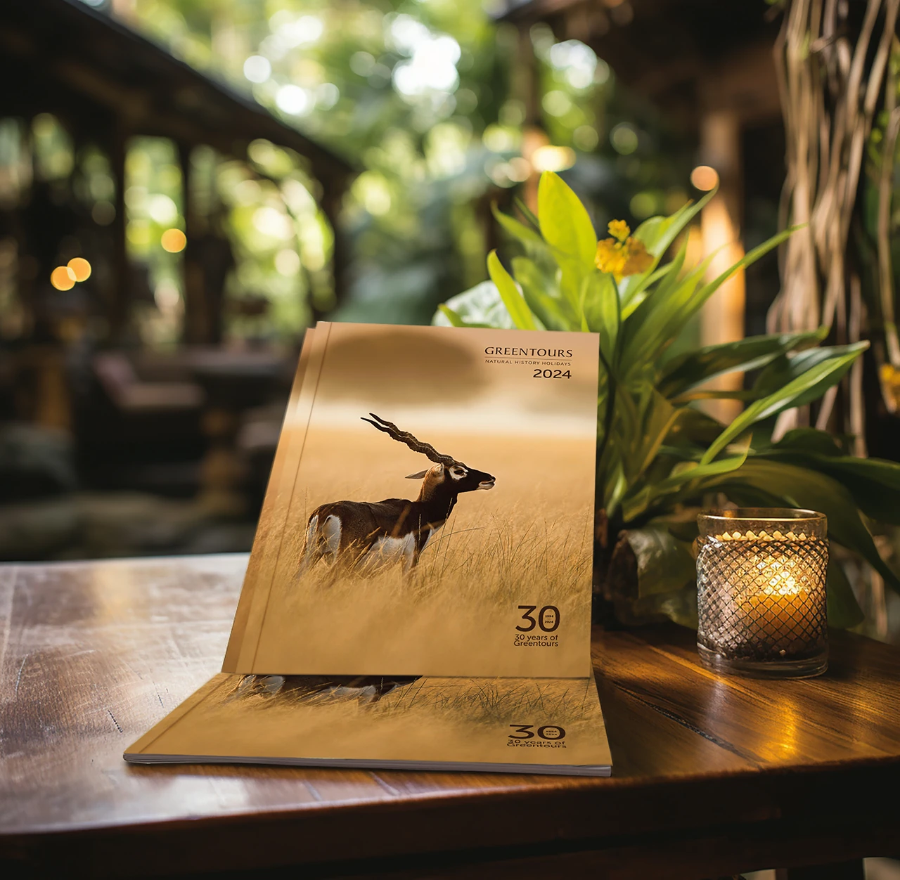 Greentours brochure spread showing wildlife photography