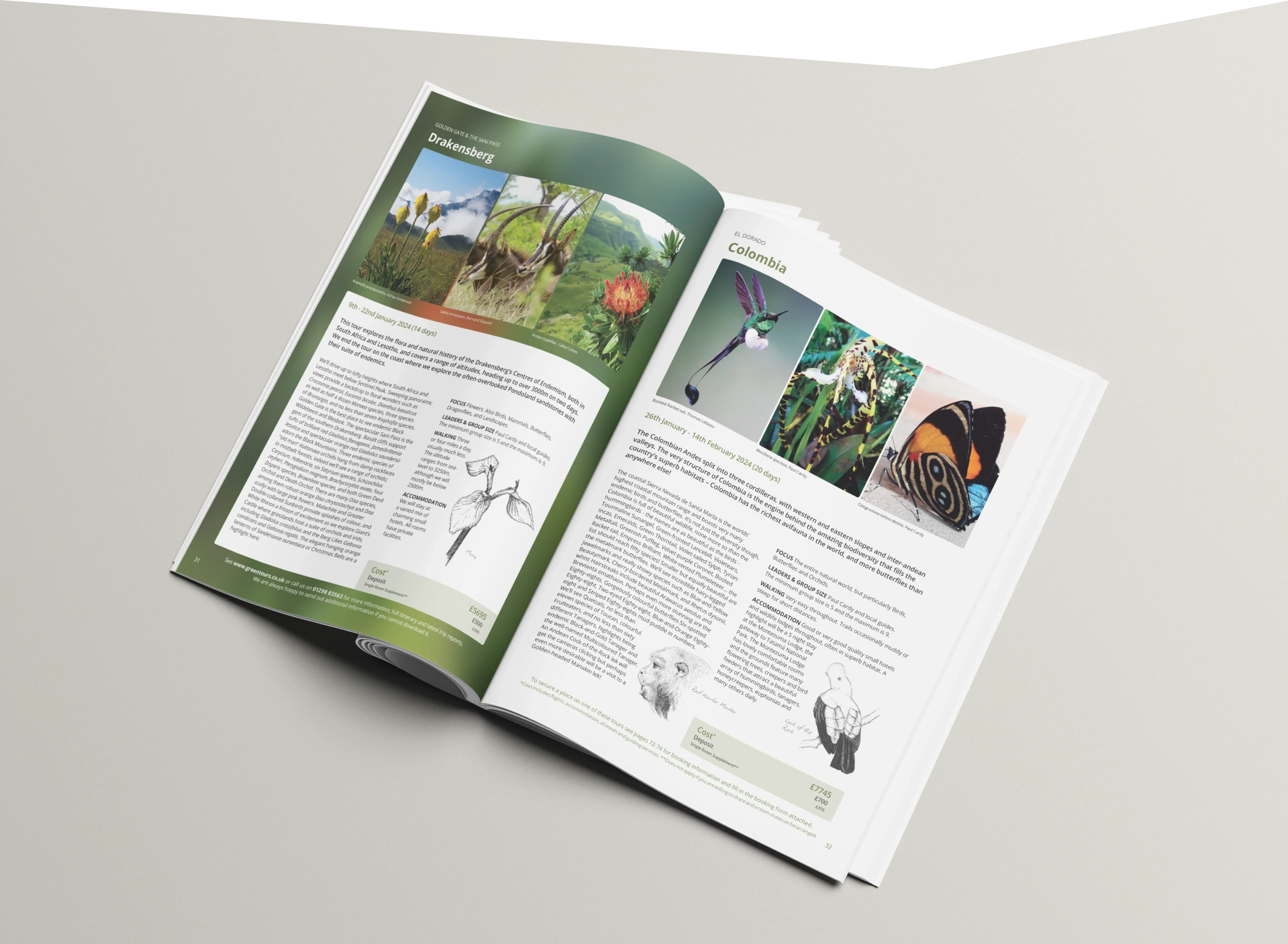 Greentours Brochure Website Screenshot