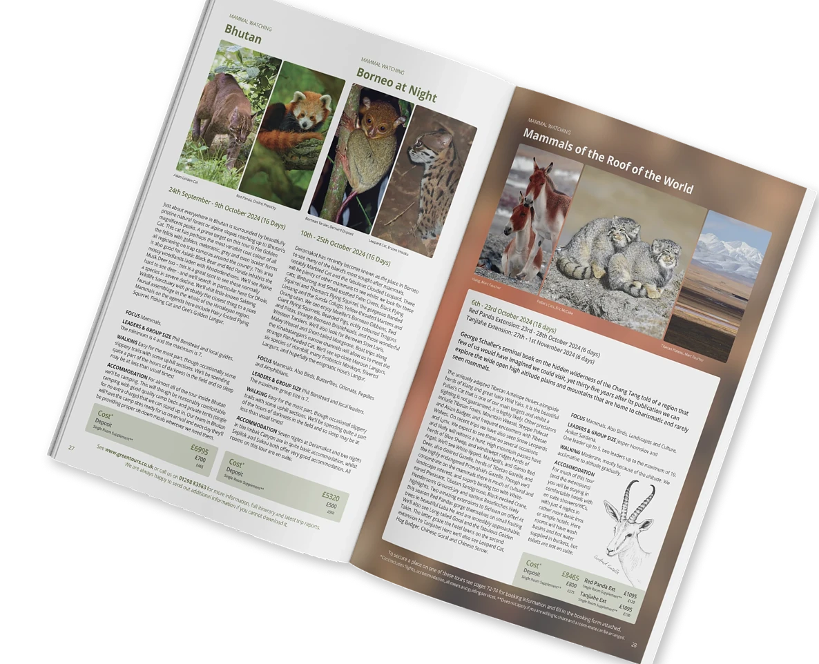 Greentours Illustration