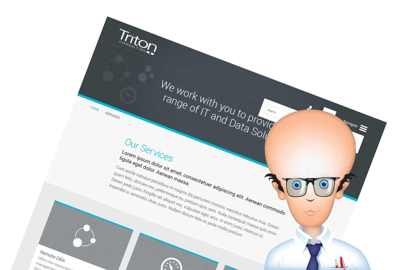 Triton Consulting Illustration