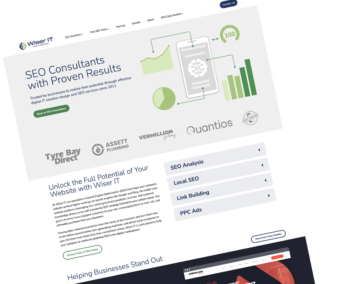 Wiser IT Illustration