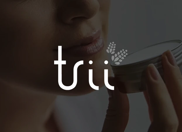 Screenshot of Trii project