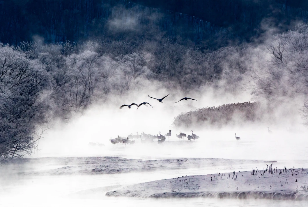 Ethereal snowscape showcasing swirling mist and silhouettes of birds in flight