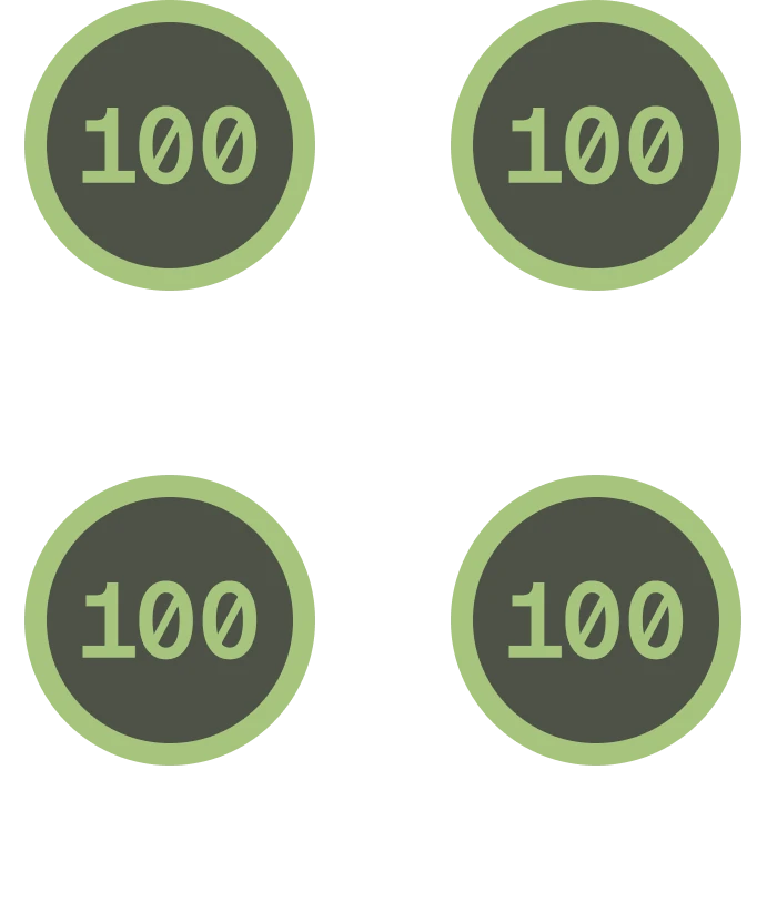 Wiser IT’s 100% Google PageSpeed score