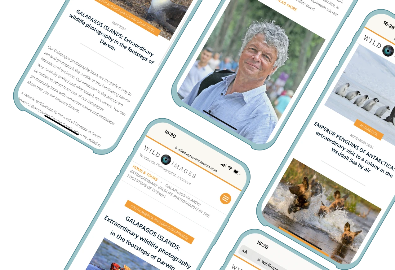 Wild Images illustration