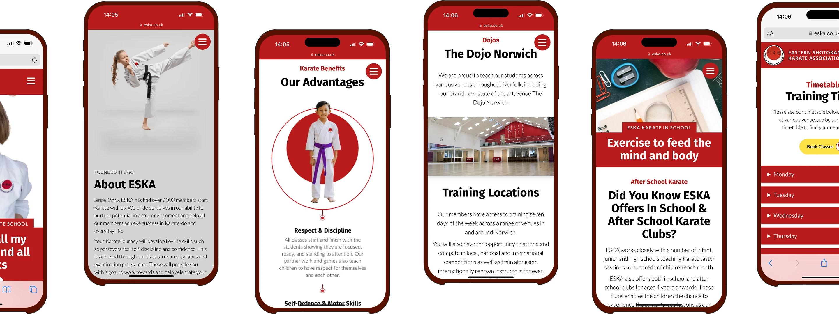 Various pages of the Eska website.