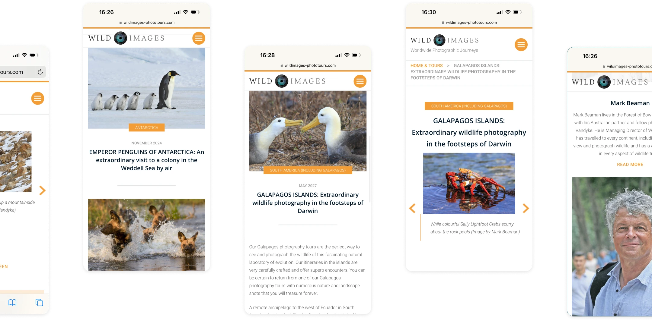 Collage of interior site pages from Wild Images