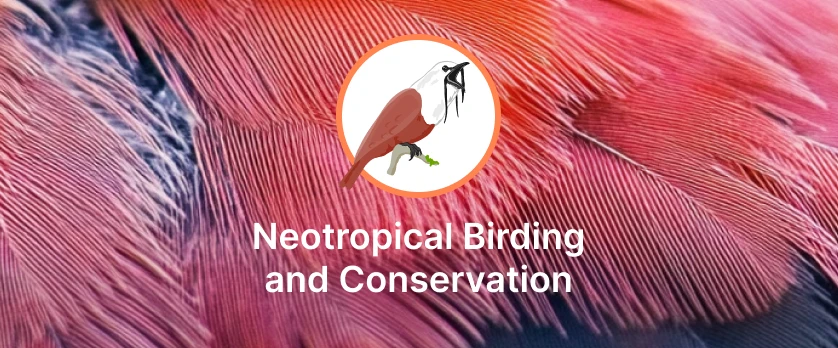 Accent Sponsors Neotropical Birding and Conservation