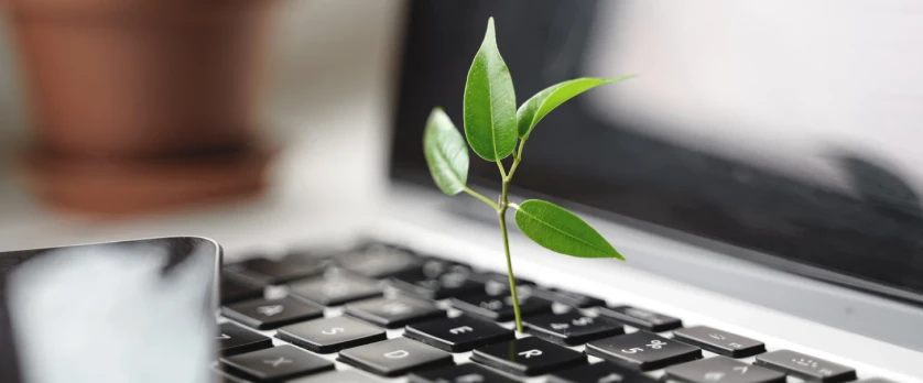 A Sustainable Web is Worth Talking About